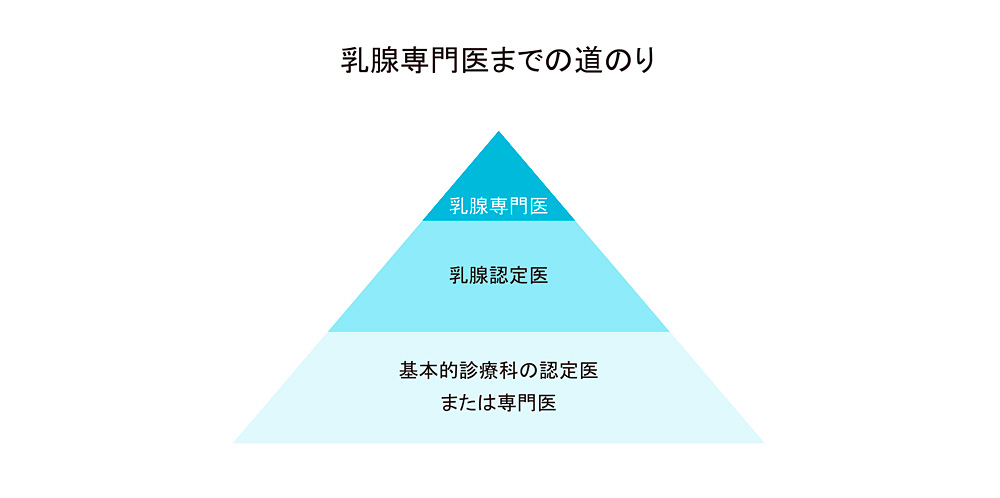 乳腺専門家医までの道のり1