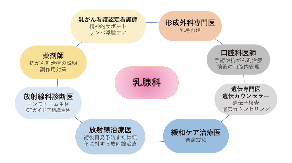 当科の特徴